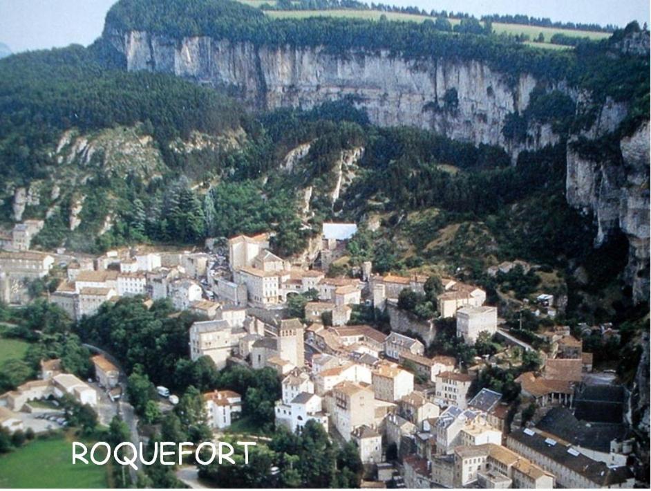 Вилла Les Palmiers Des Causses Saint-Rome-de-Tarn Экстерьер фото