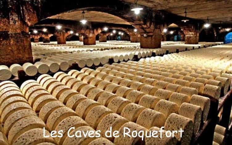 Вилла Les Palmiers Des Causses Saint-Rome-de-Tarn Экстерьер фото
