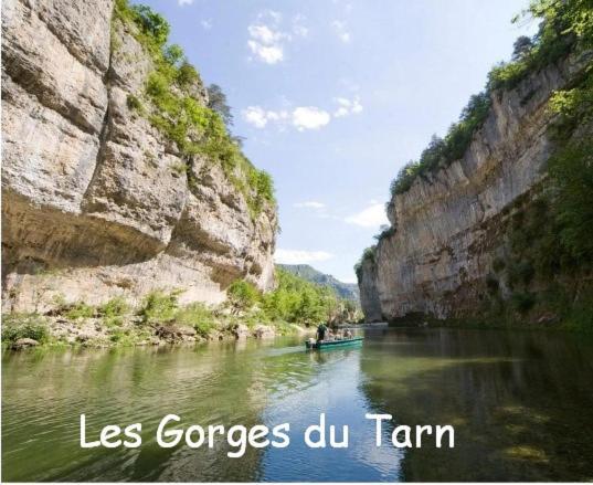 Вилла Les Palmiers Des Causses Saint-Rome-de-Tarn Экстерьер фото