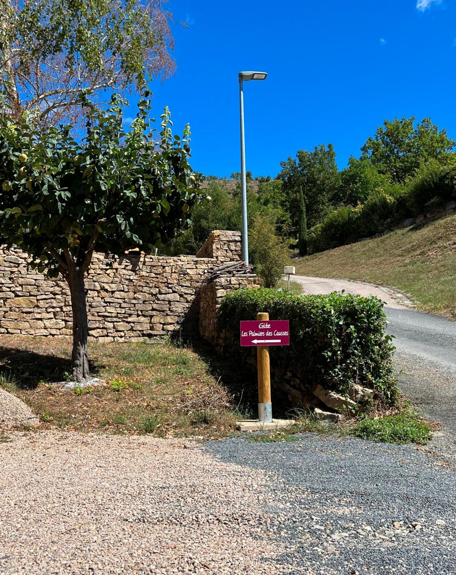 Вилла Les Palmiers Des Causses Saint-Rome-de-Tarn Экстерьер фото